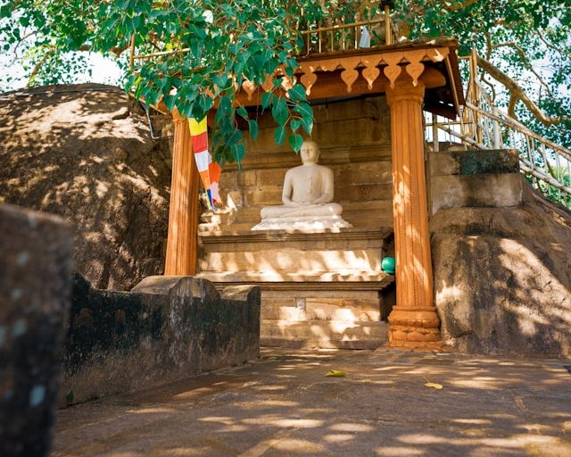 Buddha statue at a sacred Bodhi tree shrine in Sri Lanka