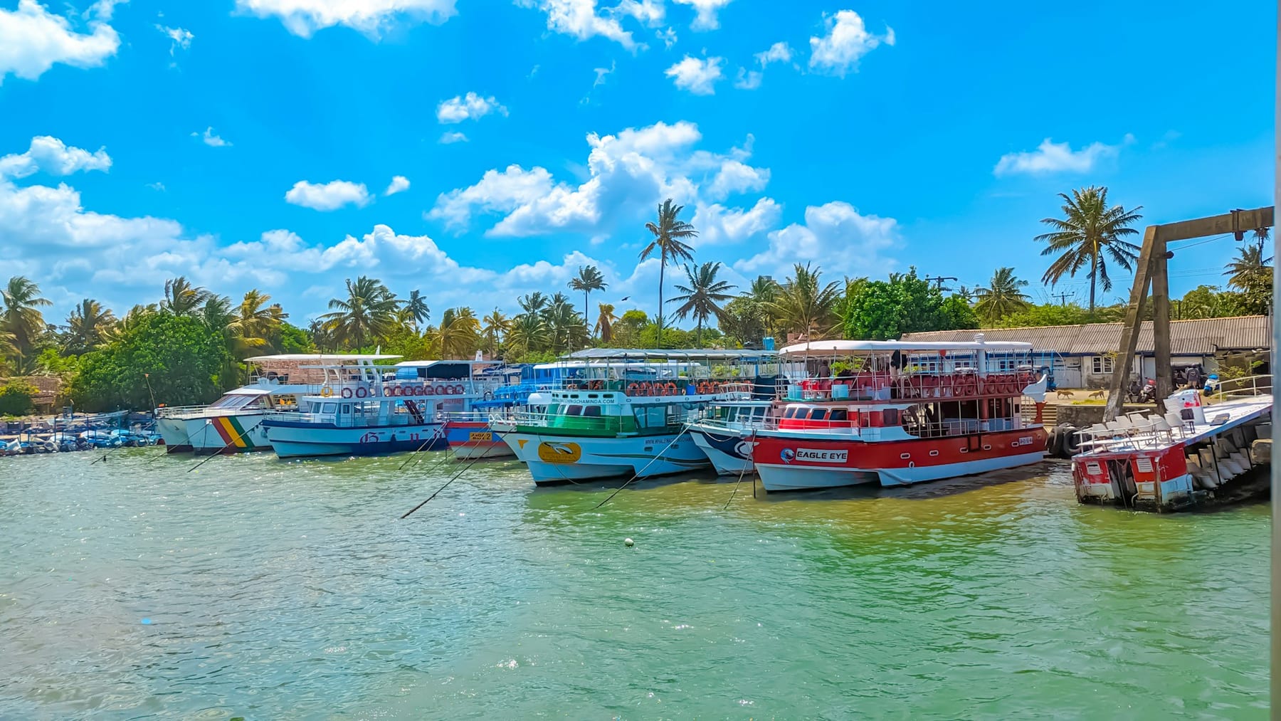 Mirissa Harbour — Down South Beaches, Sri Lanka