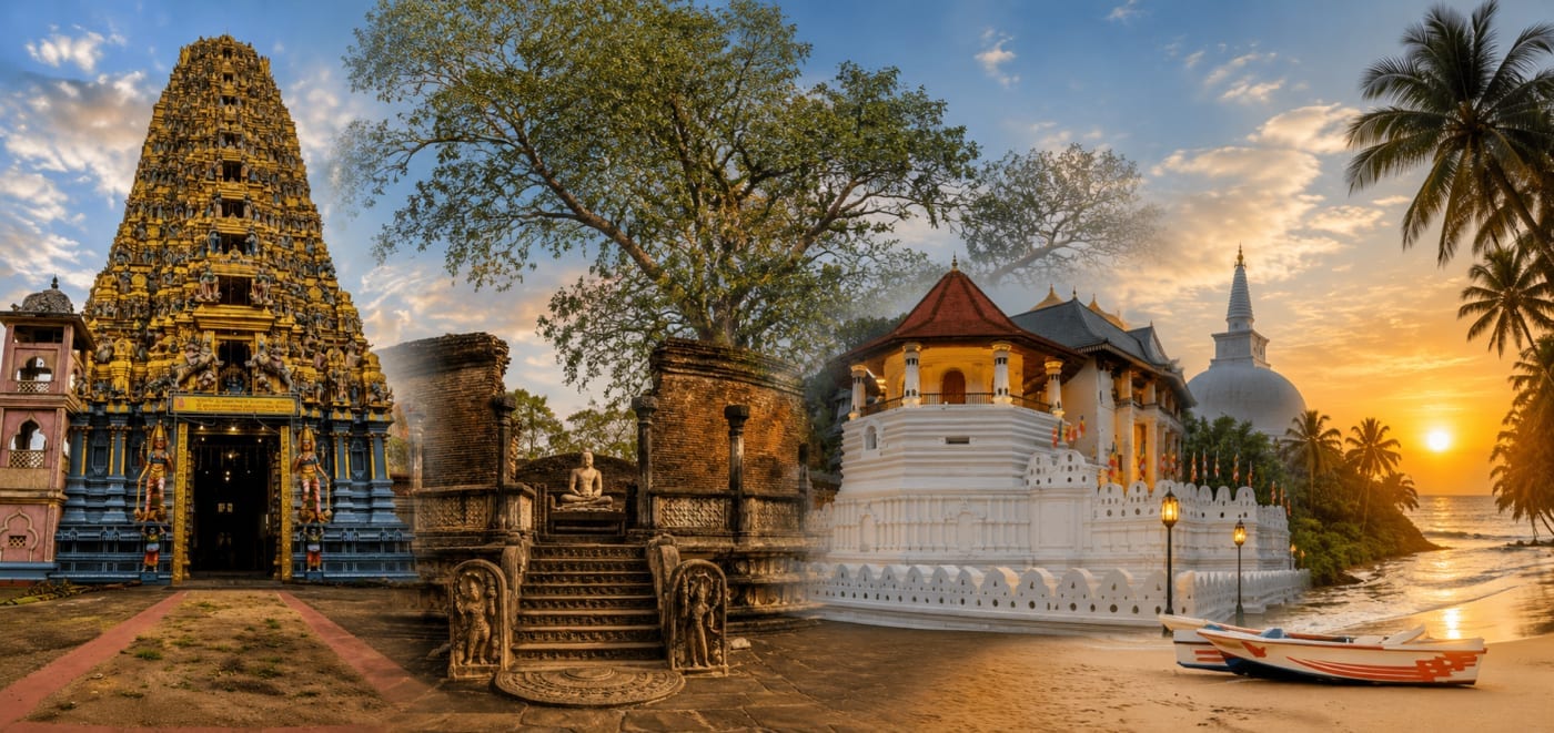 Island odyssey 14-day Sri Lanka tour