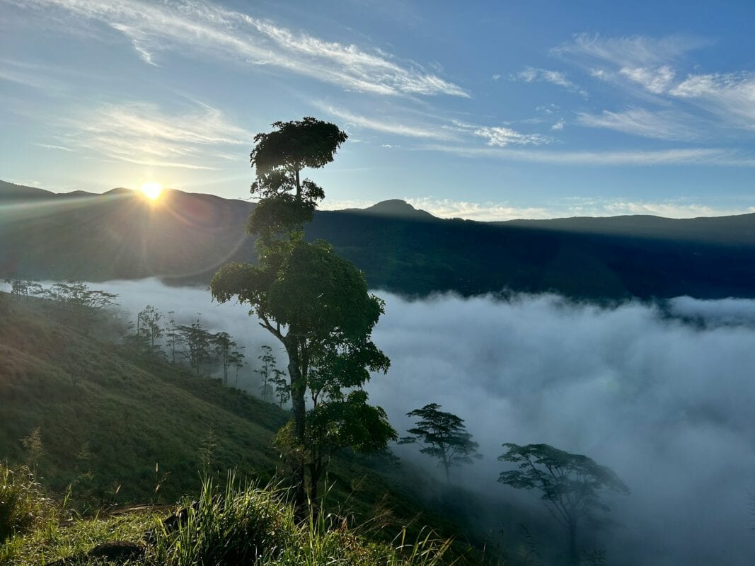 Matale spice gardens, Sri Lanka