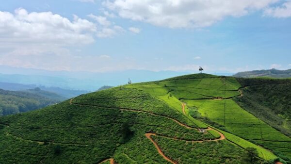 Nuwara Eliya, Sri Lanka