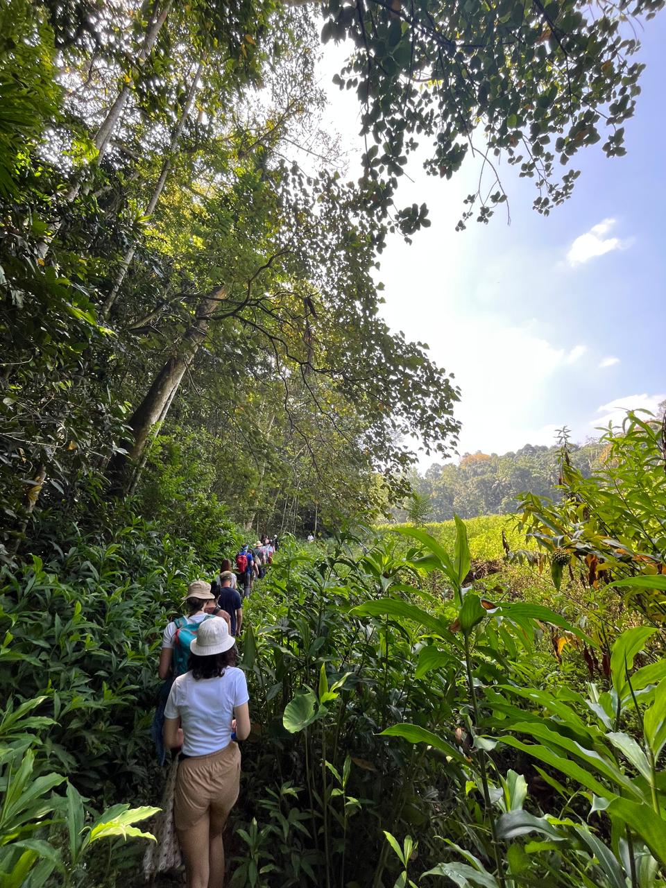 Pekoe Trail, Sri Lanka