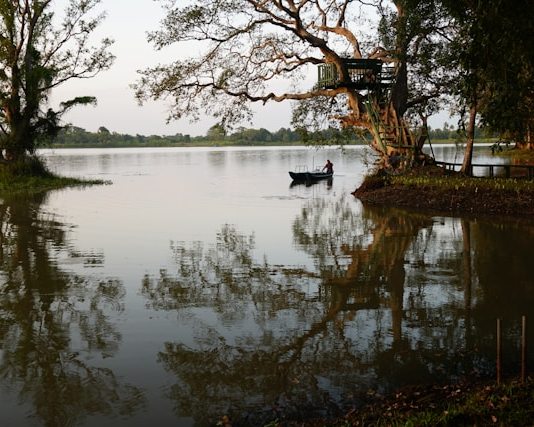 Fisherman on a tranquil lake beside a treehouse in Sri Lanka