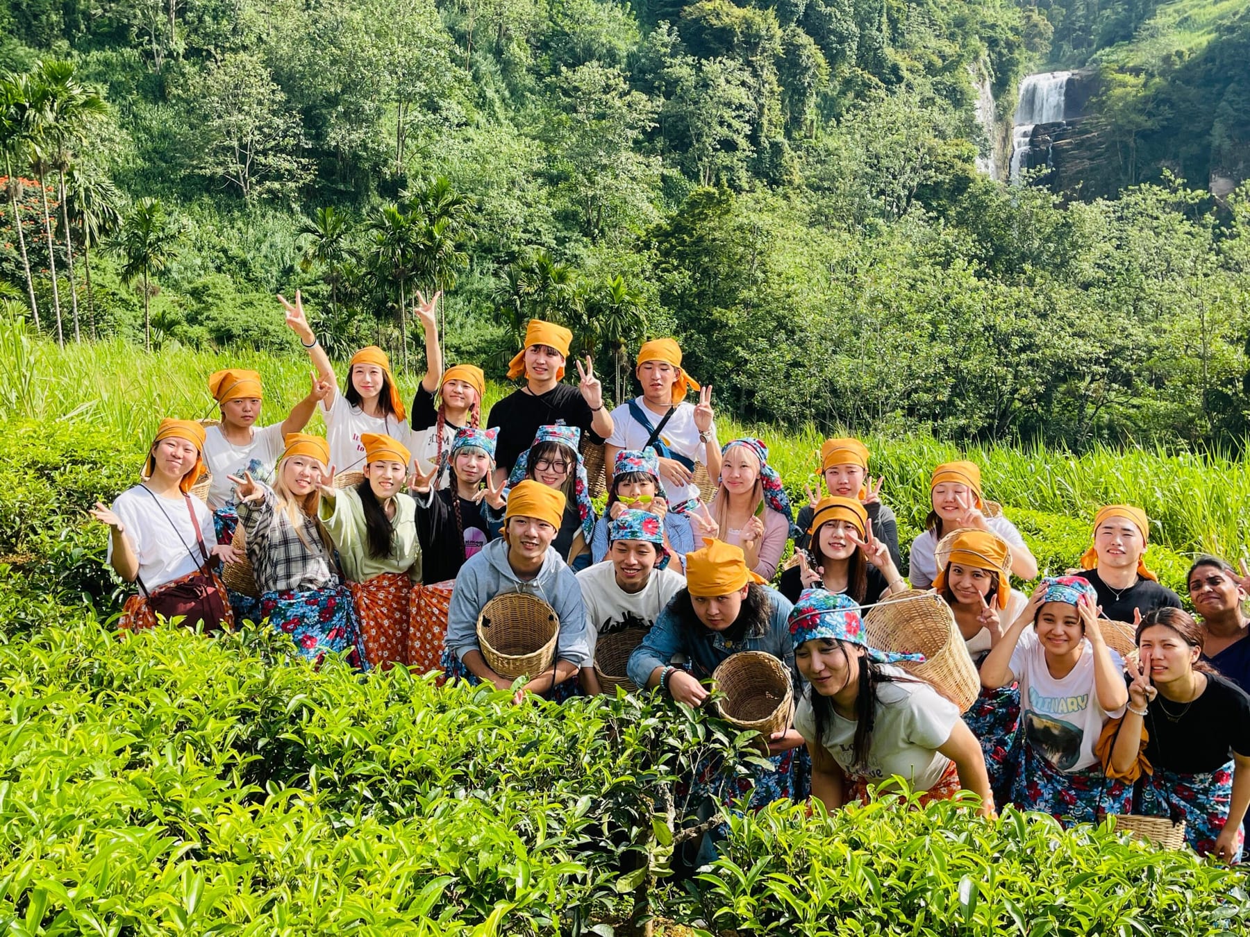 Tea Plucking Experience — Tea Factory, Sri Lanka