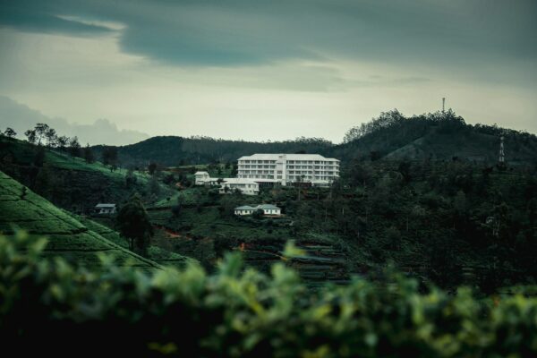 Tea Factory, Sri Lanka